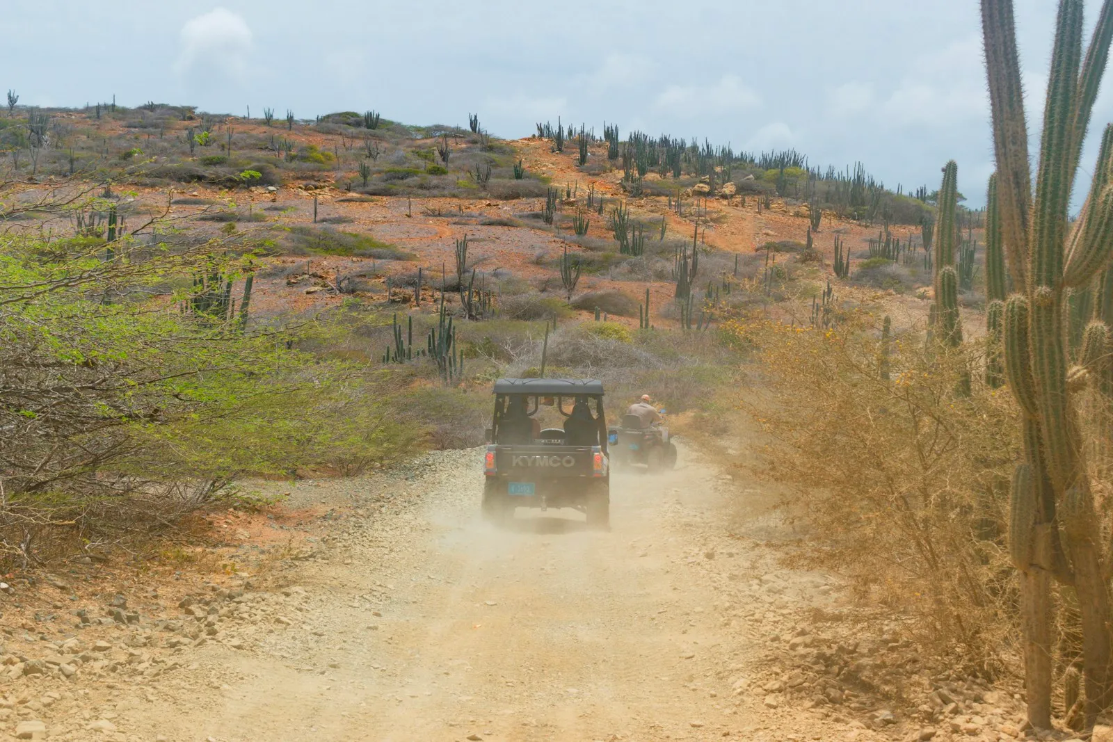 Off-road UTVs on a dusty desert trail, the kind of vehicle Phoenix powersports dealerships sell to the wealthy off-road community in the Sonoran desert.
